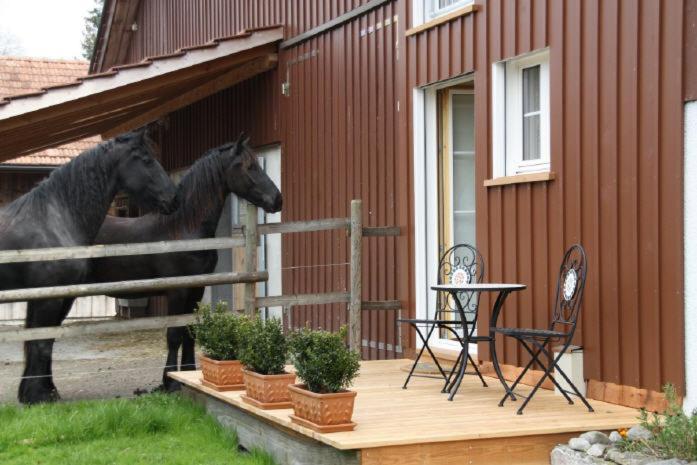 Bnb Haag Exterior foto